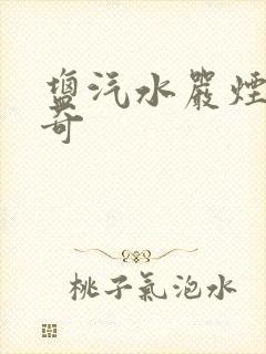 盐汽水严烟薛子奇