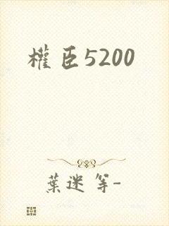 权臣5200