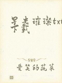 星光璀璨txt下载