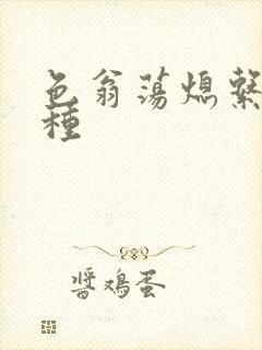 色翁荡熄系列借种