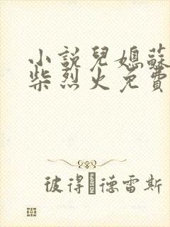 小说儿媳苏玥干柴烈火免费阅读