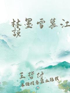 林墨雪慕江行小说