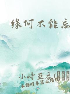 缘何不能忘记你