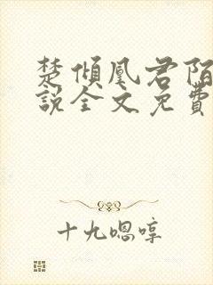 楚倾凰君陌尘小说全文免费阅读