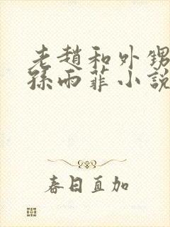 老赵和外甥媳妇孙雨菲小说