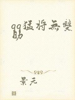 qq猛将无双辅助