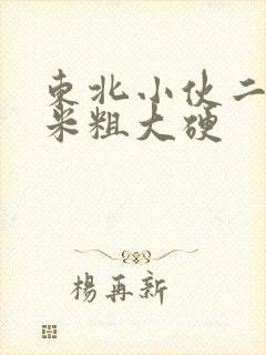 东北小伙二十厘米粗大硬