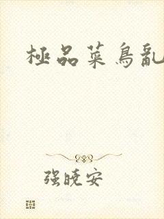 极品菜鸟乱江湖