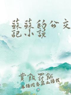 苏苏的公交车日记小说