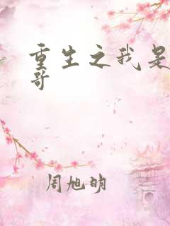 重生之我是大帅哥