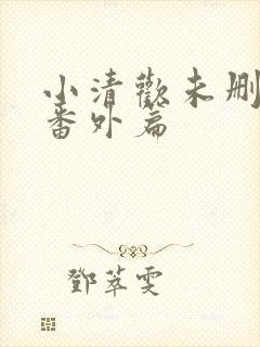 小清欢未删减版番外篇