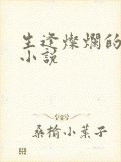 生逢灿烂的日子小说