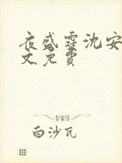 夜盛霆沈安然全文免费