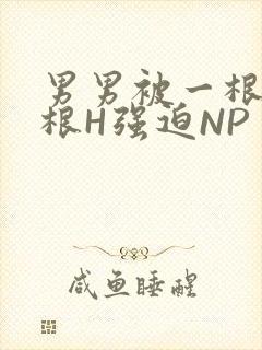 男男被一根又一根H强迫NP