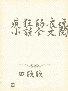 疯狂的夜晚苏柔小说全文阅读