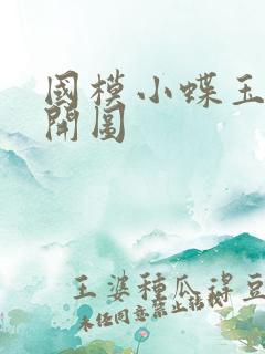 国模小蝶玉门大开图