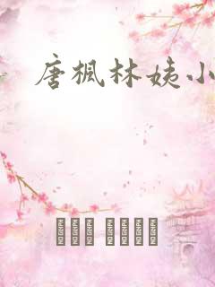 唐枫林姨小说