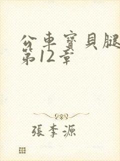 公车宝贝腿开点第12章