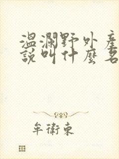 温澜野外产子小说叫什么名字