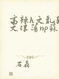 高辣h文乱乳h文浪荡np苏夏