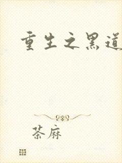 重生之黑道传奇