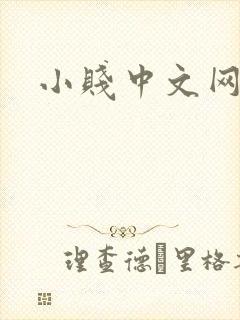 小贱中文网