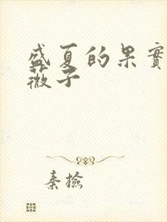 盛夏的果实 小薇子