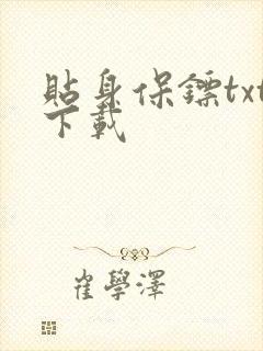 贴身保镖txt下载