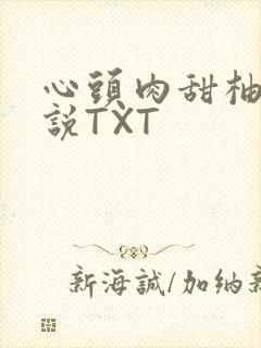 心头肉甜柚子小说TXT