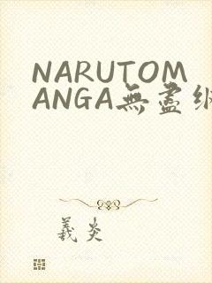NARUTOMANGA无尽纲手