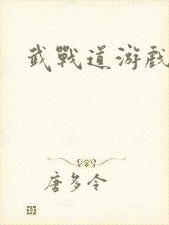 武战道游戏