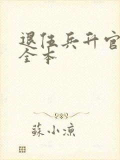 退伍兵升官记 全本