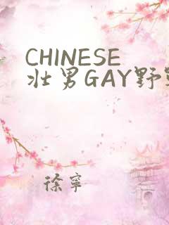 CHINESE壮男GAY野战强迫TUBE