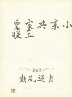 皇家共享小公主暖玉