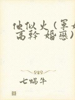 他似火 (军婚 高干 婚恋)小说免费阅读