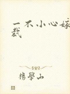 一不小心嫁给总裁