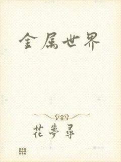 金属世界