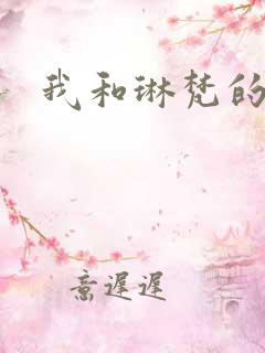 我和琳梵的故事