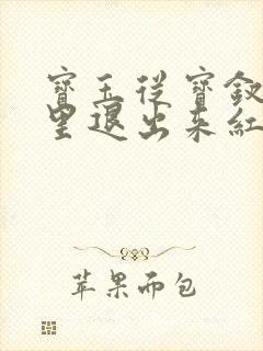 宝玉从宝钗身体里退出来红楼春