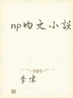 np肉文小说