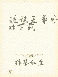 流氓天尊外传txt下载