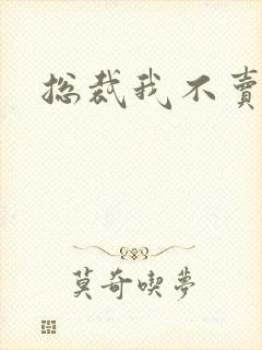 总裁我不卖宝宝