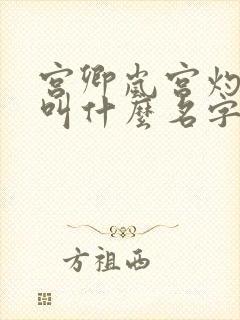 宫卿岚宫灼小说叫什么名字