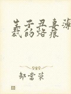 生子丑妻薄情总裁的烙痕
