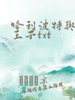 哈利波特与混血王子txt