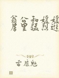 翁公和媛媛在厨房里猛烈进出