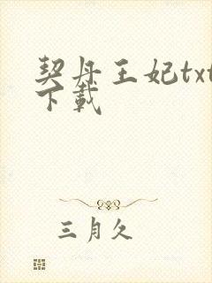 契丹王妃txt下载