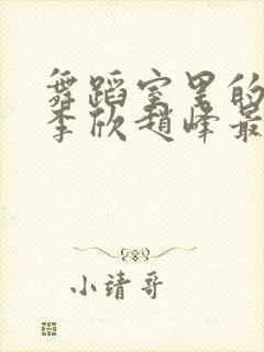 舞蹈室里的景色李欣赵峰最新章节