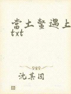当土鳖遇上海龟txt