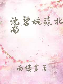 沈碧婉苏北宸和尚